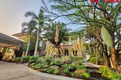 ขายบ้านเดี่ยวหรู หลังมุม ลดาวัลย์ ปิ่นเกล้า–เพชรเกษม 190 ตร.วา | ต้นโครงการ | รีโนเวทใหม่ | ใกล้โรงเรียนนานาชาติ