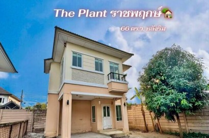 ขายบ้านเดี่ยว The Plant ราชพฤกษ์ หลังริม 66 ตร.วา | ราคาถูกที่สุดในโครงการ | ใกล้วงเวียนพระราม 5โครงการติดถนนใหญ่