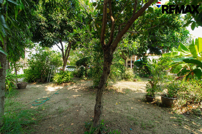 ขายบ้านพร้อมที่ดิน 200 ตร.ว. ถนนอุทยาน บ้านเดี่ยวหลังใหญ่ 4 นอน ใกล้พุทธมณฑล-ศาลายา