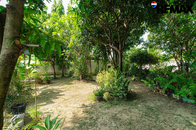 ขายบ้านพร้อมที่ดิน 200 ตร.ว. ถนนอุทยาน บ้านเดี่ยวหลังใหญ่ 4 นอน ใกล้พุทธมณฑล-ศาลายา