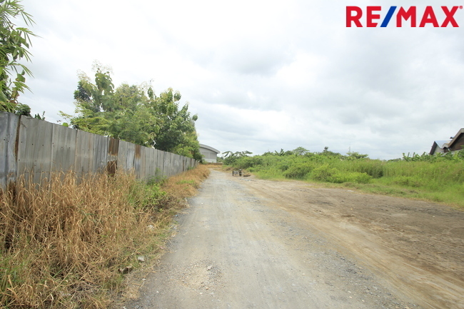 ที่ดินคลองสี่วาพาสวัสดิ์ ถนนหมื่นปรารมย์ เอกชัยพระราม2 ที่ถมแล้ว 859ตารางวา เหมาะสร้างโกดัง โรงงาน คลังเก็บสินค้า ใกล้ศูนย์การแพทย์โรงพยาบาลศิริราช ราคาต่อรองได้