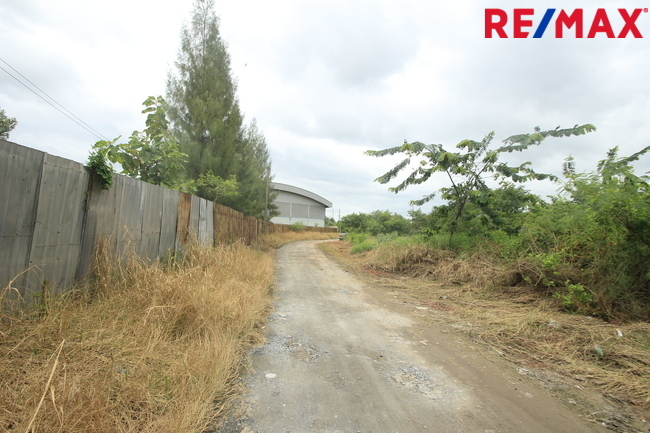 ที่ดินคลองสี่วาพาสวัสดิ์ ถนนหมื่นปรารมย์ เอกชัยพระราม2 ที่ถมแล้ว 859ตารางวา เหมาะสร้างโกดัง โรงงาน คลังเก็บสินค้า ใกล้ศูนย์การแพทย์โรงพยาบาลศิริราช ราคาต่อรองได้