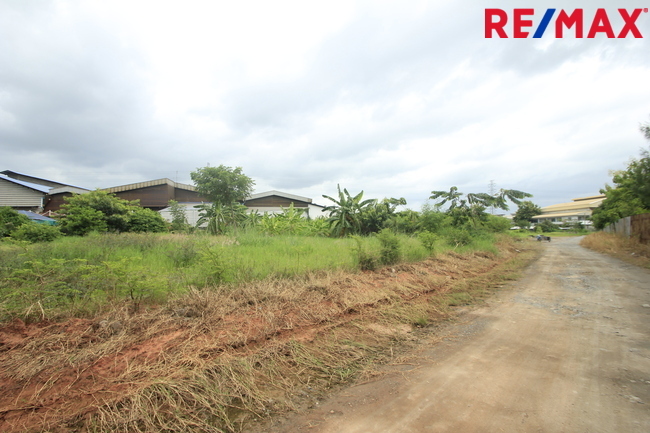 ที่ดินคลองสี่วาพาสวัสดิ์ ถนนหมื่นปรารมย์ เอกชัยพระราม2 ที่ถมแล้ว 859ตารางวา เหมาะสร้างโกดัง โรงงาน คลังเก็บสินค้า ใกล้ศูนย์การแพทย์โรงพยาบาลศิริราช ราคาต่อรองได้