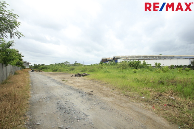 ที่ดินคลองสี่วาพาสวัสดิ์ ถนนหมื่นปรารมย์ เอกชัยพระราม2 ที่ถมแล้ว 859ตารางวา เหมาะสร้างโกดัง โรงงาน คลังเก็บสินค้า ใกล้ศูนย์การแพทย์โรงพยาบาลศิริราช ราคาต่อรองได้