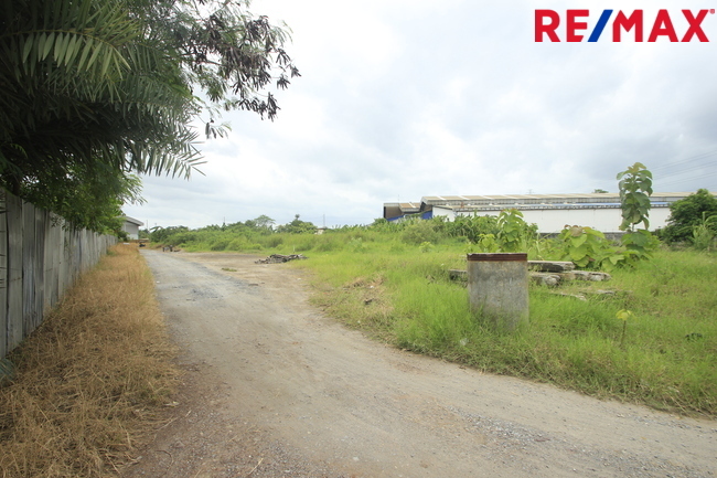 ที่ดินคลองสี่วาพาสวัสดิ์ ถนนหมื่นปรารมย์ เอกชัยพระราม2 ที่ถมแล้ว 859ตารางวา เหมาะสร้างโกดัง โรงงาน คลังเก็บสินค้า ใกล้ศูนย์การแพทย์โรงพยาบาลศิริราช ราคาต่อรองได้