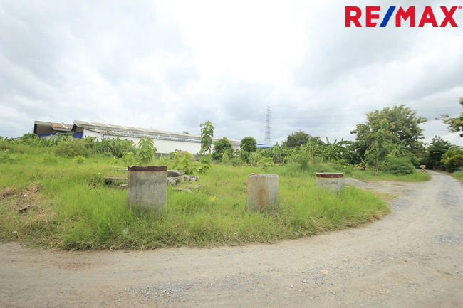 ที่ดินคลองสี่วาพาสวัสดิ์ ถนนหมื่นปรารมย์ เอกชัยพระราม2 ที่ถมแล้ว 859ตารางวา เหมาะสร้างโกดัง โรงงาน คลังเก็บสินค้า ใกล้ศูนย์การแพทย์โรงพยาบาลศิริราช ราคาต่อรองได้