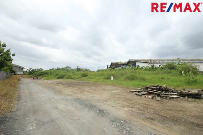 ที่ดินคลองสี่วาพาสวัสดิ์ ถนนหมื่นปรารมย์ เอกชัยพระราม2 ที่ถมแล้ว 859ตารางวา เหมาะสร้างโกดัง โรงงาน คลังเก็บสินค้า ใกล้ศูนย์การแพทย์โรงพยาบาลศิริราช ราคาต่อรองได้