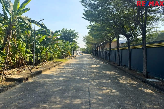 ขายที่ดิน พุทธมณฑลสาย 2 หมู่บ้านณิชาตรา 236 ตารางวา แปลงมุม ถมแล้ว