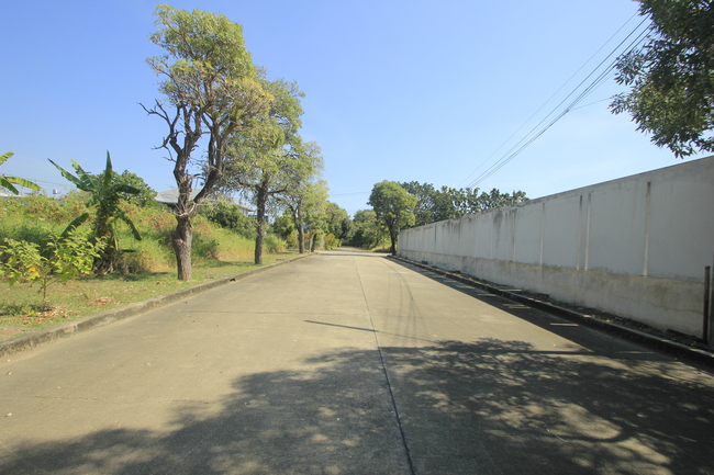 ที่ดินวริยาวิลล์บรมราชชนนี ปิ่นเกล้า นครชัยศรี ที่ดินสร้างบ้าน 396.8 ตารางวา ต้นโครงการถนนเมนกว้าง ใกล้มหิดลศาลายา เซ็นทรัลศาลายา ใกล้ถนนใหญ่เดินได้ไม่เปลี่ยว