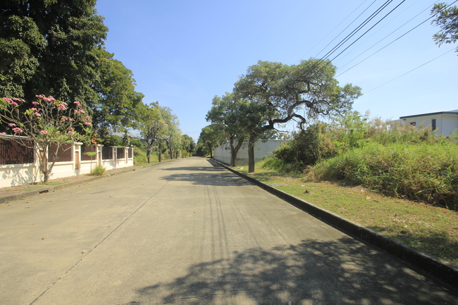 ที่ดินวริยาวิลล์บรมราชชนนี ปิ่นเกล้า นครชัยศรี ที่ดินสร้างบ้าน 396.8 ตารางวา ต้นโครงการถนนเมนกว้าง ใกล้มหิดลศาลายา เซ็นทรัลศาลายา ใกล้ถนนใหญ่เดินได้ไม่เปลี่ยว