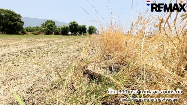 ขายที่ดินบางบ่อรวมแปลง399ตารางวาที่ดินทำเลทองย่านเอเชียอินดัสตรีเอสเตส EEC