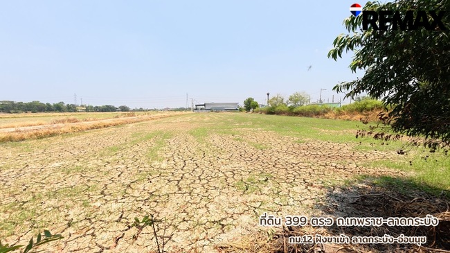 ขายที่ดินถูกที่สุดในบางบ่อ ที่ดิน 399 ตารางวาติดถนนเทพราช-ลาดกระบัง ยกแปลงเพียง 3.99 ล้านเท่านั้น