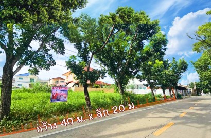 ขายที่ดิน ใกล้ม.มหิดล 200 ตร.วา หน้ากว้าง 40 ม. พร้อมใช้งาน ทวีวัฒนา-กาญจนาฯ 24 ติดถนนซอย เหมาะทำออฟฟิศ , บ้านอยู่อาศัย , โกดังสต๊อกสินค้า ราคาขาย 8 ล้านบาท