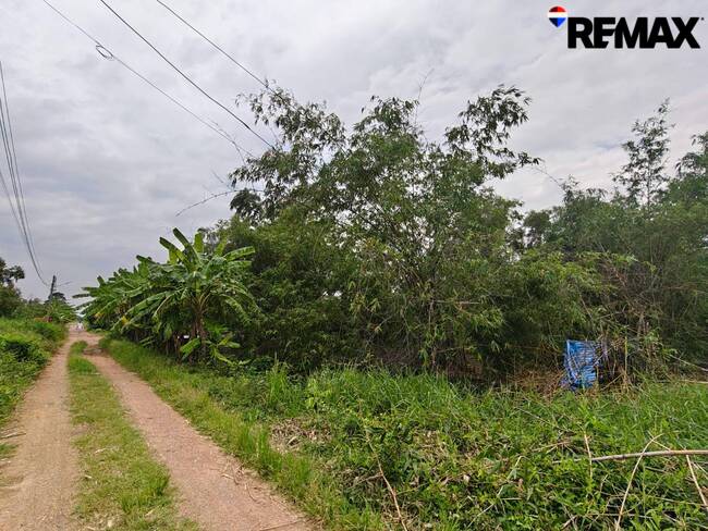 ขายที่ดินเปล่า 200ตร.ว. ถนนรังสิต-นครนายก คลอง10 อ.หนองเสือ จ.ปทุมธานี เหมาะสร้างที่พักอาศัย ซื้อเก็บ