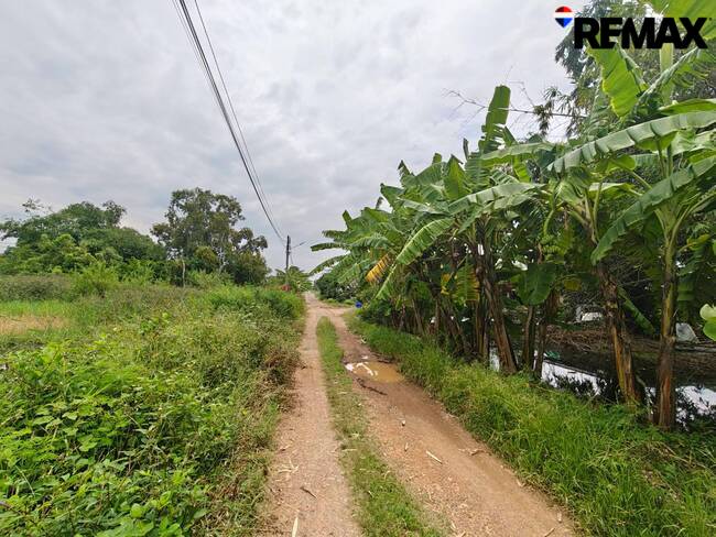 ขายที่ดินเปล่า 200ตร.ว. ถนนรังสิต-นครนายก คลอง10 อ.หนองเสือ จ.ปทุมธานี เหมาะสร้างที่พักอาศัย ซื้อเก็บ