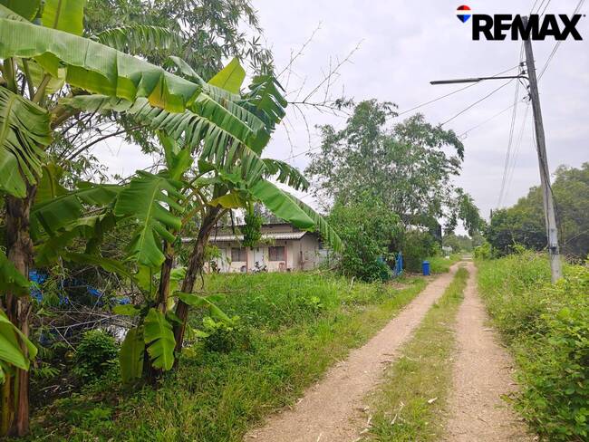 ขายที่ดินเปล่า 200ตร.ว. ถนนรังสิต-นครนายก คลอง10 อ.หนองเสือ จ.ปทุมธานี เหมาะสร้างที่พักอาศัย ซื้อเก็บ