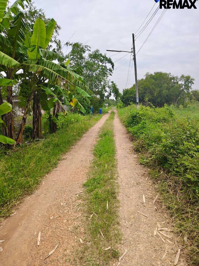 ขายที่ดินเปล่า 200ตร.ว. ถนนรังสิต-นครนายก คลอง10 อ.หนองเสือ จ.ปทุมธานี เหมาะสร้างที่พักอาศัย ซื้อเก็บ