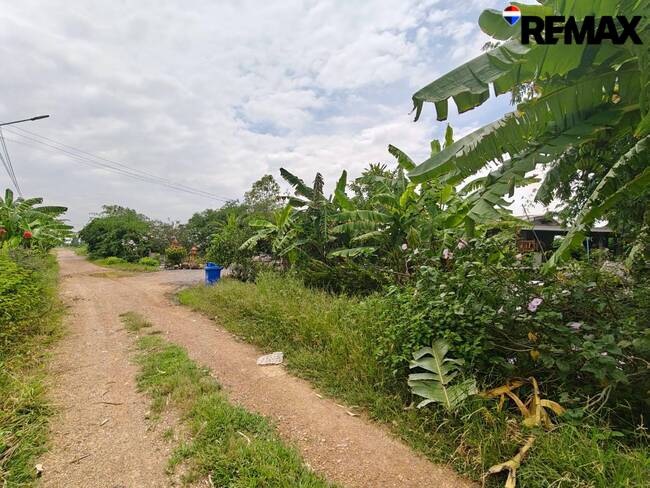 ขายที่ดินเปล่า 200ตร.ว. ถนนรังสิต-นครนายก คลอง10 อ.หนองเสือ จ.ปทุมธานี เหมาะสร้างที่พักอาศัย ซื้อเก็บ