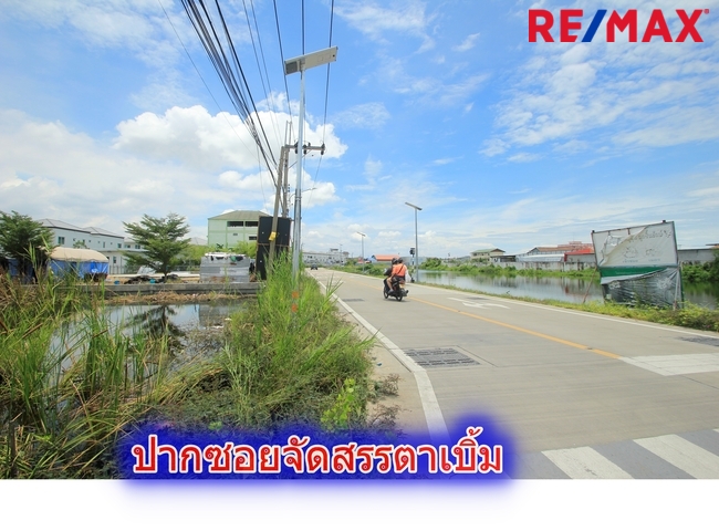 ที่ดินประชาอุทิศ90 จัดสรรตาเบิ้ม ถนนเมน 207ตารางวา สร้างบ้าน ทำธุรกิจได้ ใกล้โรงเรียนสารสาสน์วิเทศ ทางด่วนสุขสวัสดิ์ บางพลี ราคาถูก