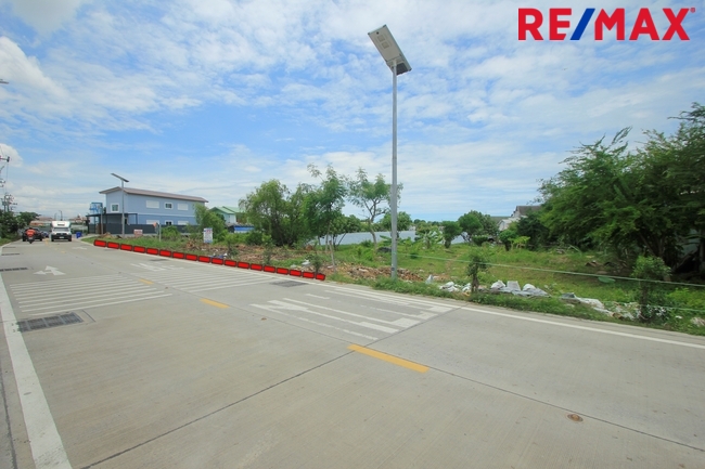ที่ดินประชาอุทิศ90 จัดสรรตาเบิ้ม ถนนเมน 207ตารางวา สร้างบ้าน ทำธุรกิจได้ ใกล้โรงเรียนสารสาสน์วิเทศ ทางด่วนสุขสวัสดิ์ บางพลี ราคาถูก
