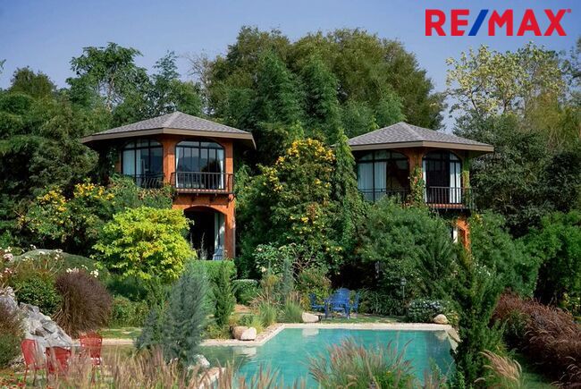 มาแล้ว! [New Listing!] A Riverside Eden Retreat ที่ [ The Elephant Treehouse : บ้านต้นไม้ กาญจนบุรี ]