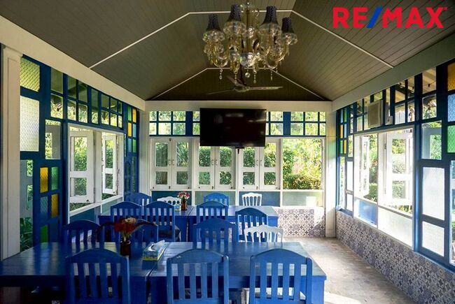 มาแล้ว! [New Listing!] A Riverside Eden Retreat ที่ [ The Elephant Treehouse : บ้านต้นไม้ กาญจนบุรี ]